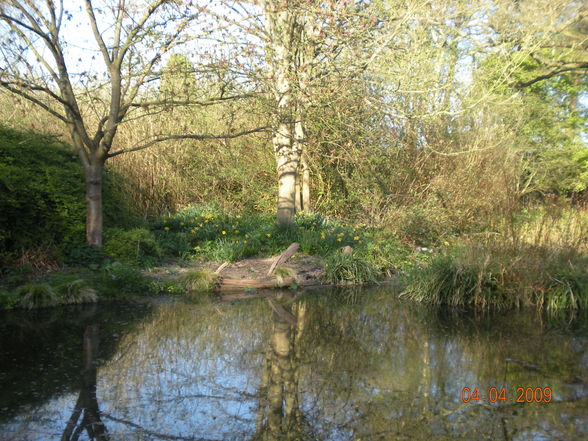 London 2009 - Bushy Park - 