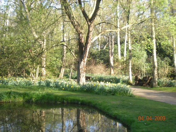 London 2009 - Bushy Park - 