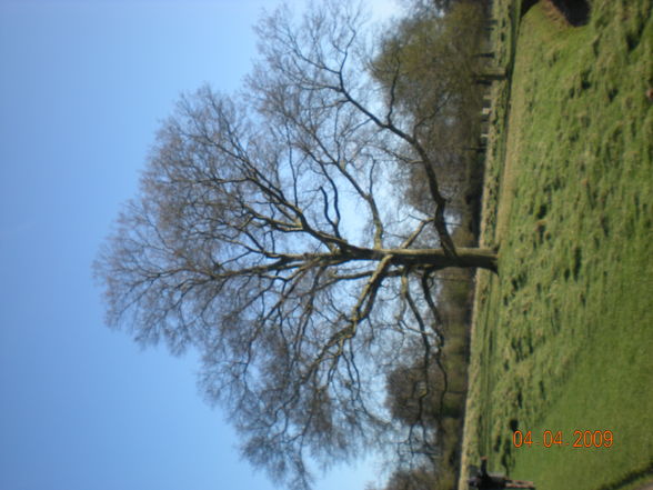 London 2009 - Bushy Park - 