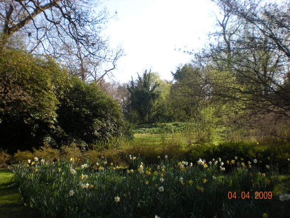 London 2009 - Bushy Park - 