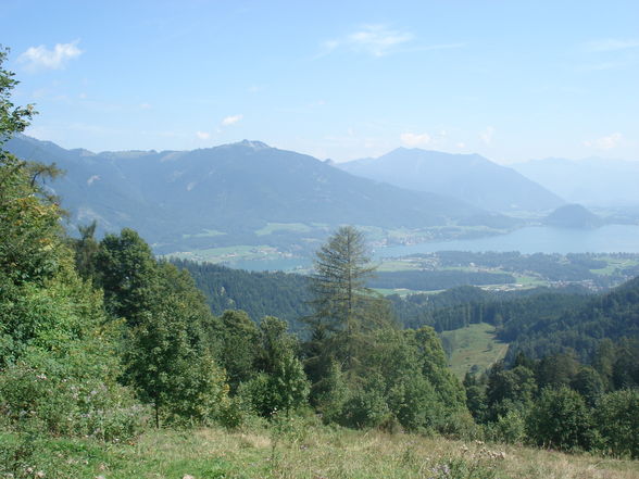 Mountainbiking am Wolfgangsee - 