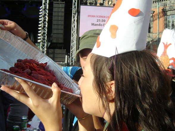 Cray fish Party at MALMÖ FESTIVAL - 