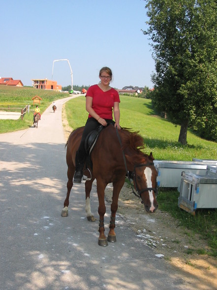 on the horse side of life! - 