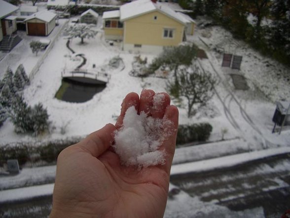 Schnee!!! - 