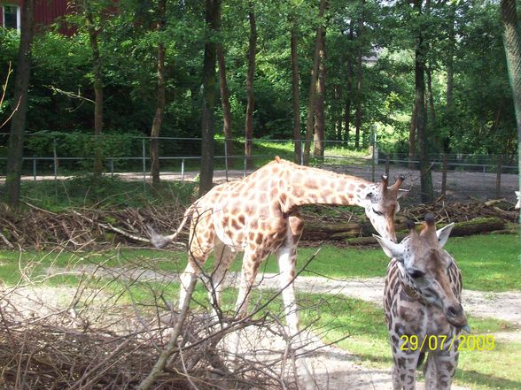 Tierpark Schmiding - 