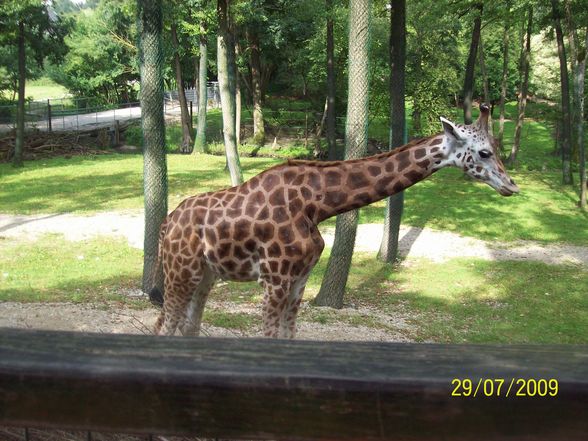 Tierpark Schmiding - 