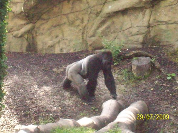 Tierpark Schmiding - 