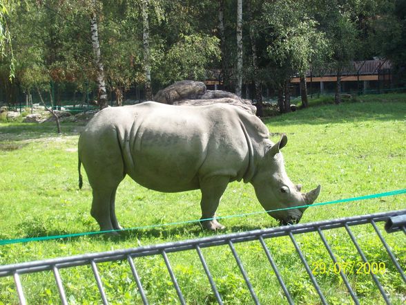 Tierpark Schmiding - 