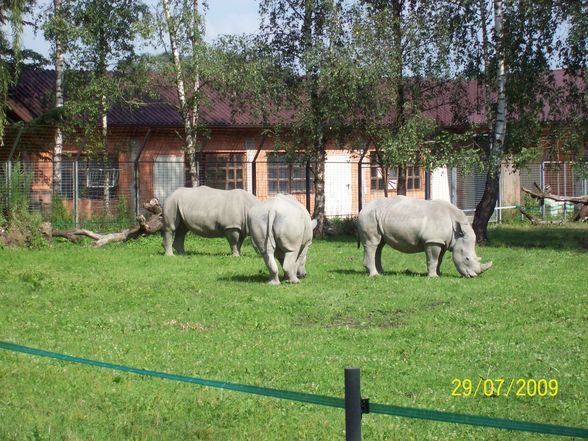 Tierpark Schmiding - 