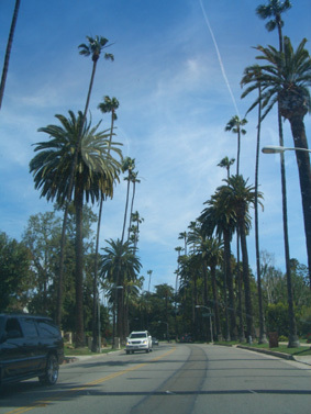 .:SANTA BARBARA/L.A. 07;. - 