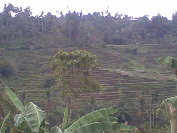 BALI 2008 - 
