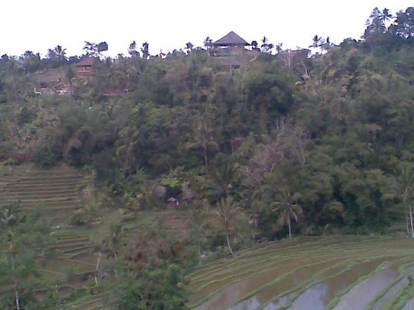 BALI 2008 - 