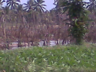 BALI 2008 - 