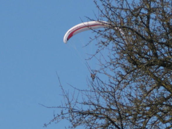 Paragleitn vom stroaf - 