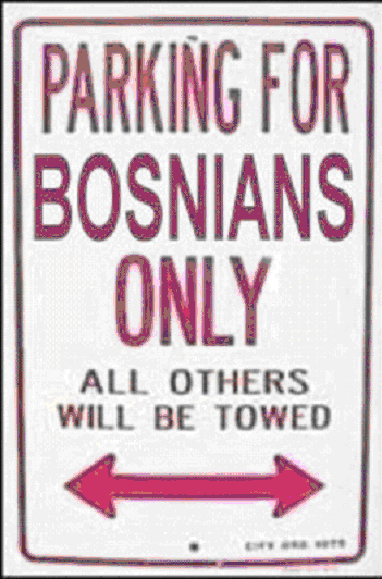 bosna - 