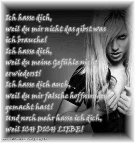 Liebe Hass Sehnsucht  - 