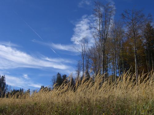 ein sehr feiner Ausflug - 