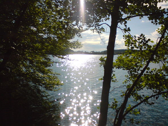 Kärnten (Klobeinersee)2008 - 