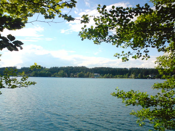 Kärnten (Klobeinersee)2008 - 