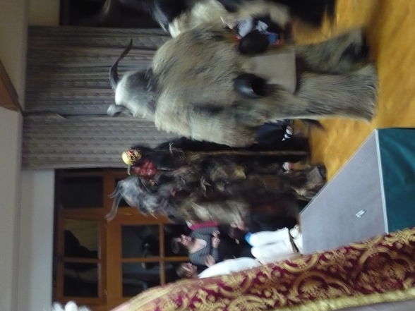 Krampustag in Hohenlehen - 