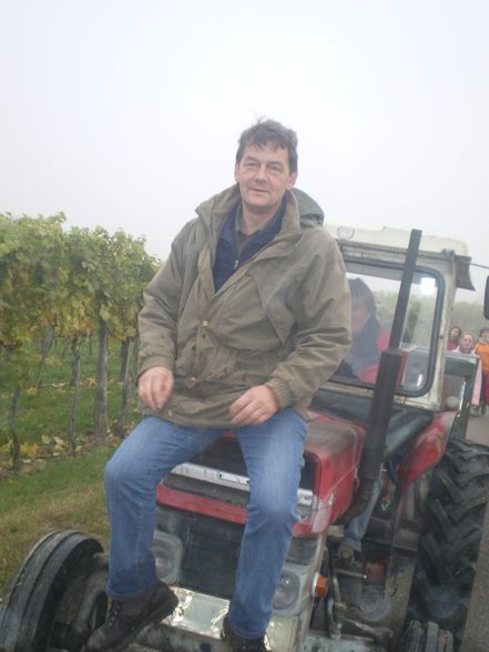 Weinlesen 2008 - 