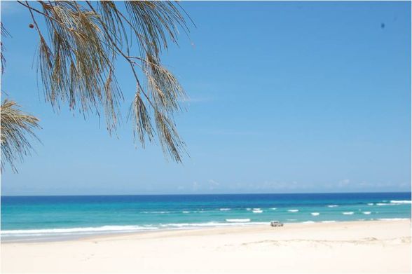 fraser island - 