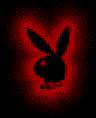 Playboy - 