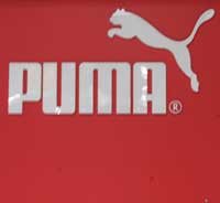 Puma - 