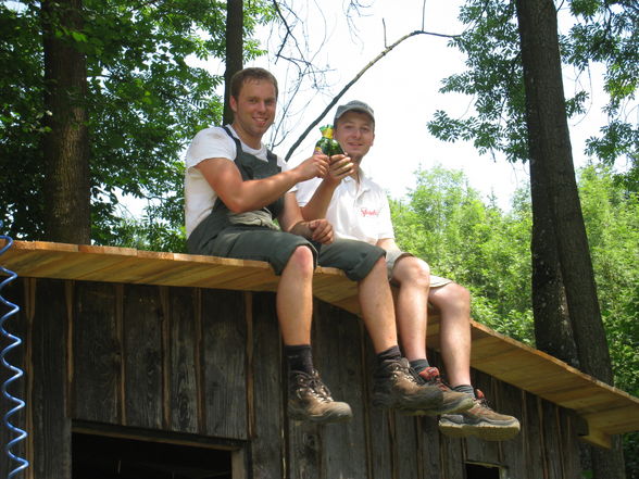 Hütte am Teich - 