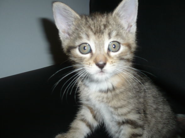 unser baby "luna" - 