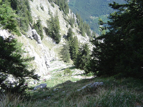 grünau-zwillingskogel-traunstein-gm - 