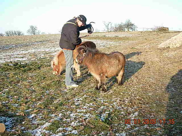 bei den Ponnys mit Birgit - 