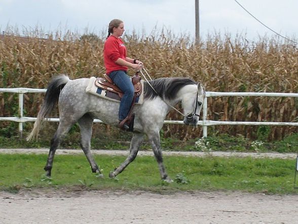 Training bei Eva mit unseren Hoppas  - 