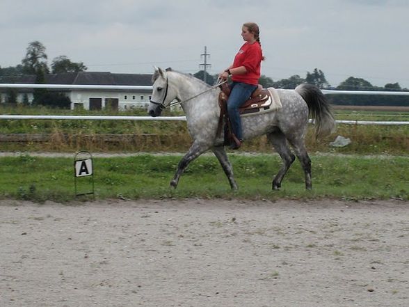 Training bei Eva mit unseren Hoppas  - 