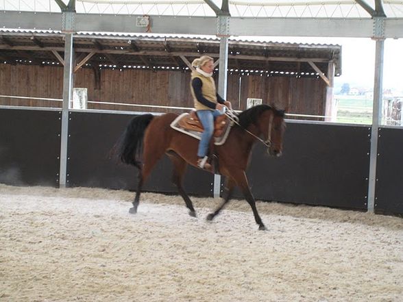 Training bei Eva mit unseren Hoppas  - 