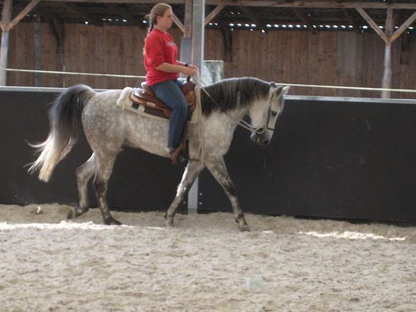 Training bei Eva mit unseren Hoppas  - 