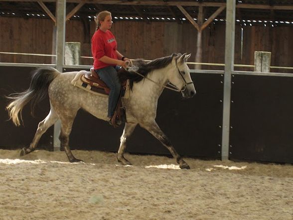 Training bei Eva mit unseren Hoppas  - 