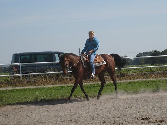 Training bei Eva mit unseren Hoppas  - 