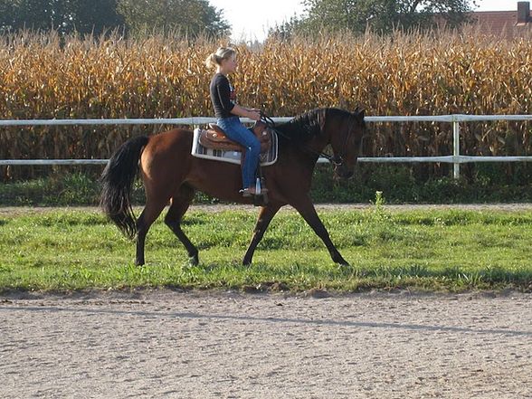 Training bei Eva mit unseren Hoppas  - 