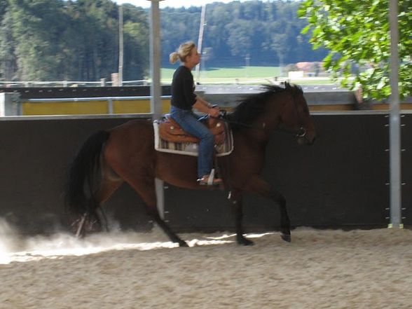 Training bei Eva mit unseren Hoppas  - 