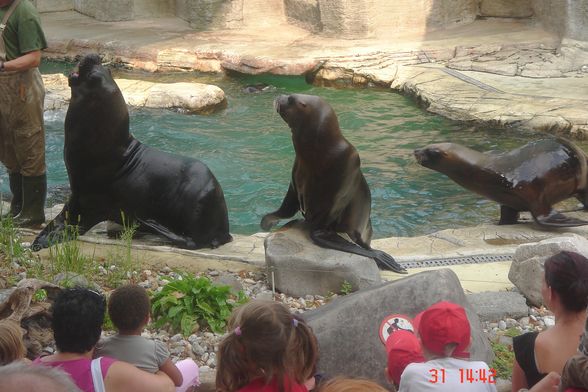 Schönbrunn und Schmieding - 