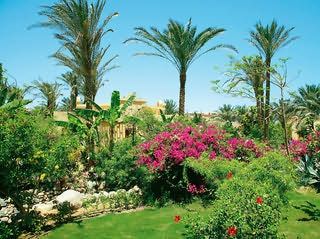 Nubian Island - Sharm El Sheikh - 