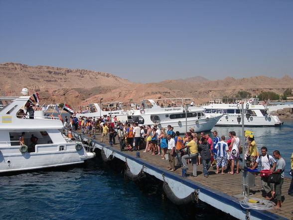 Ägypten - Sharm El Sheikh - 