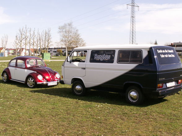 BUS meets BUG - 