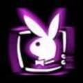 °Playboybunny° - 