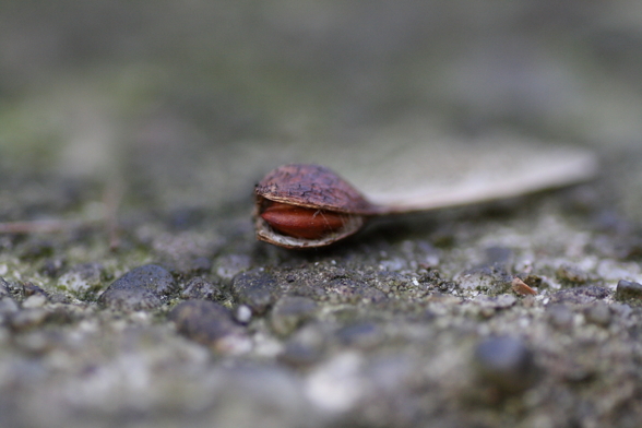 Foto-Session #1 - 