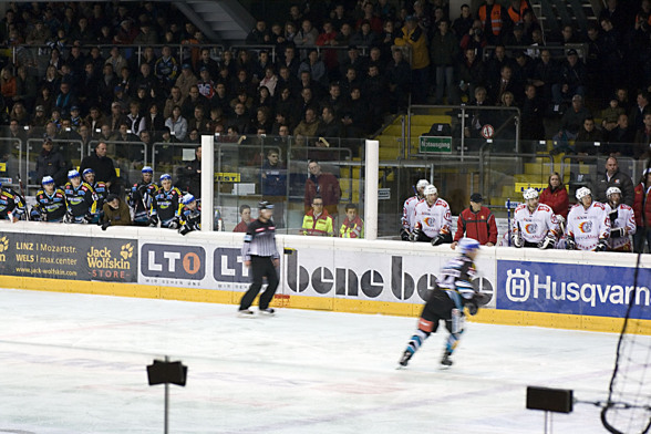 Black Wings vs. Jesenice - 