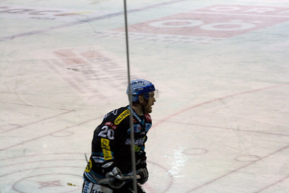 Black Wings vs. Jesenice - 