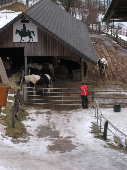 Reitweekend in Unterweissenbach - 