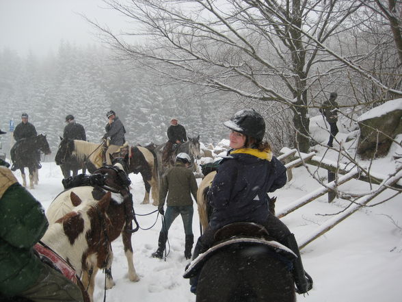 Reitweekend in Unterweissenbach - 